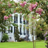 Old Plantation Nottoway Hotel Resort USA