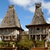 Explore Traditional Sacred House | East Timor
