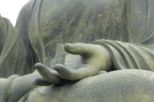Guided Meditation Session - Udawalawe | Temple of the Tooth visit with Cultural Dance Performance - Kandy | Tea plantation visit - Giragama | Rainforest stay - Kitulgala and more included