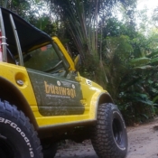 Amazona Off Road - Savanna | Suriname