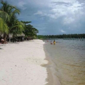 Amazona White Beach - Domburg | Suriname