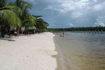 Amazona White Beach – Domburg | Suriname