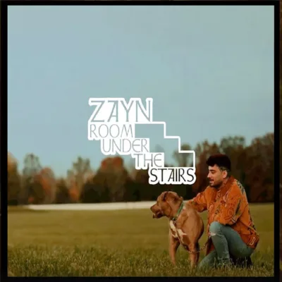 ▶ live stage video