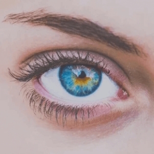 Revive | Organic •• Dual Purpose