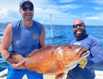 Fort Lauderdale - Miami Florida