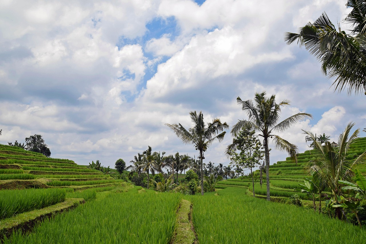 Bali & Indonesia Island Cruise