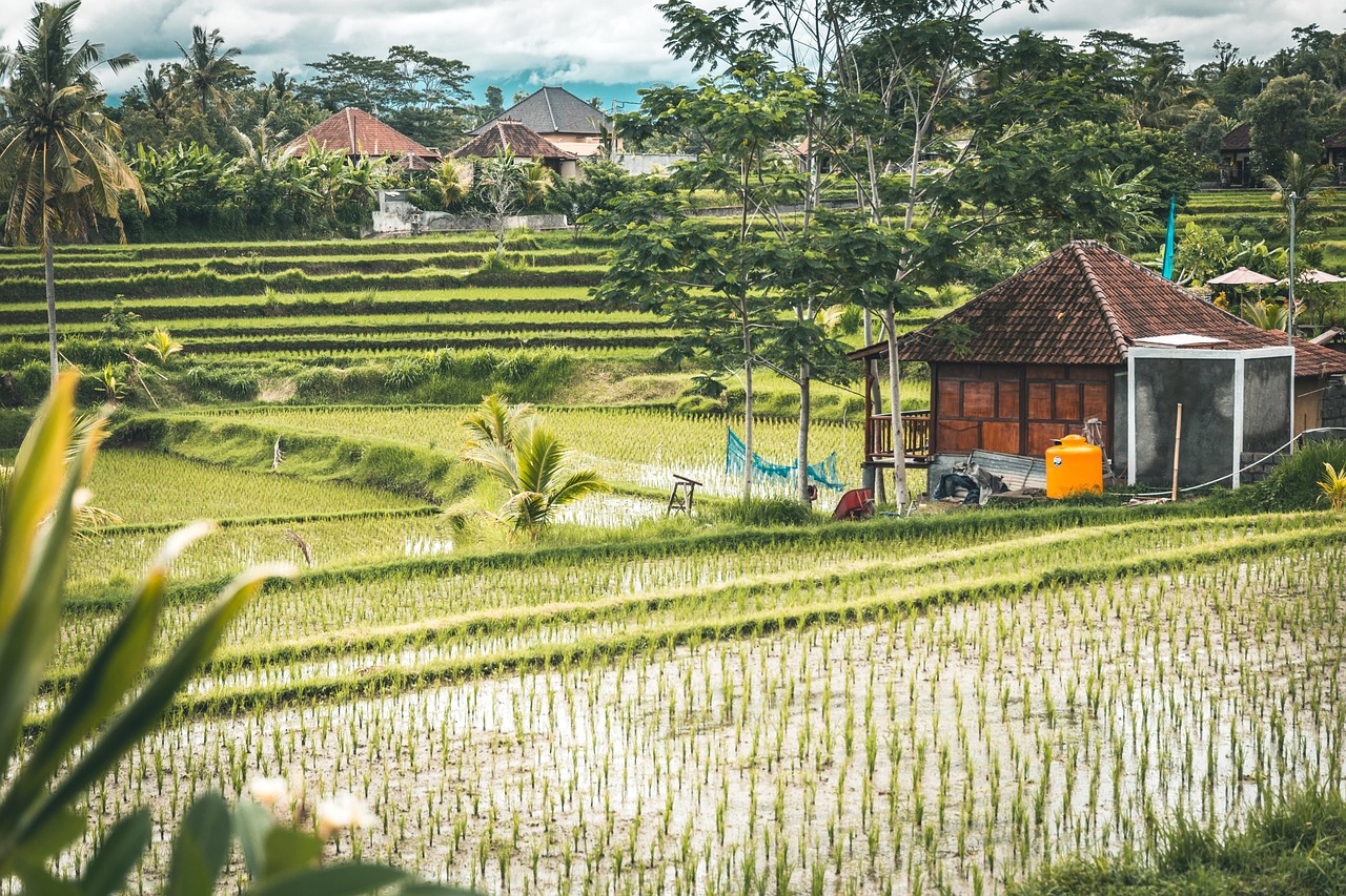 Bali & Indonesia Island Cruise