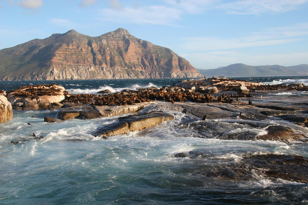 Cape Town to Zanzibar Cruise