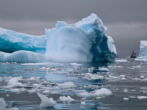Alaska Cruises