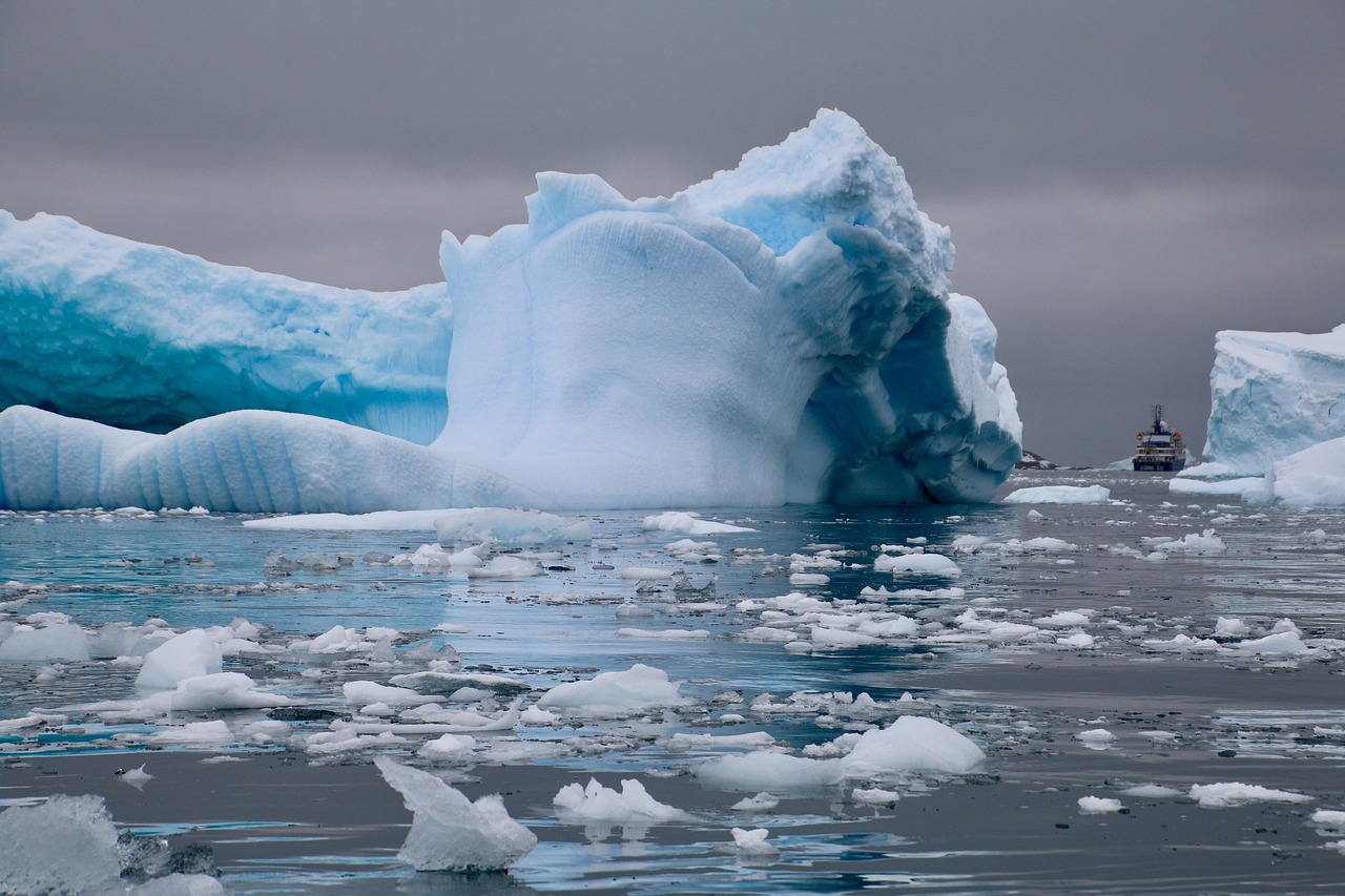 Alaska Cruises