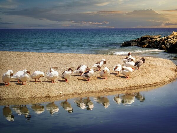 Car Hire Crete
