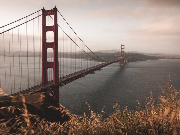 Electric Car Hire SF