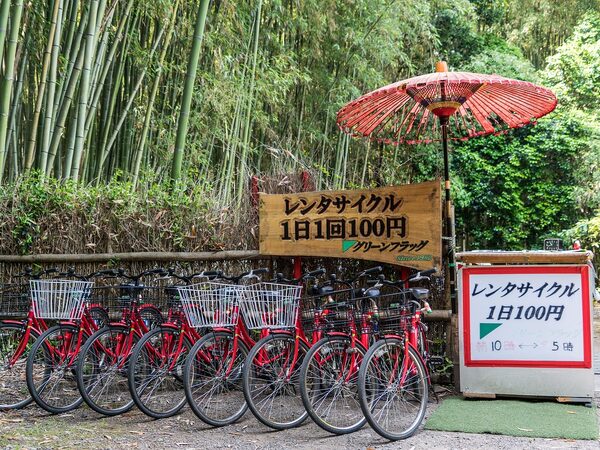 Hybrid Car Hire Kyoto