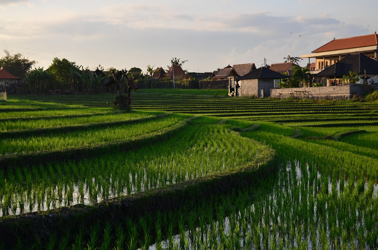 Electric Scooter Hire Bali
