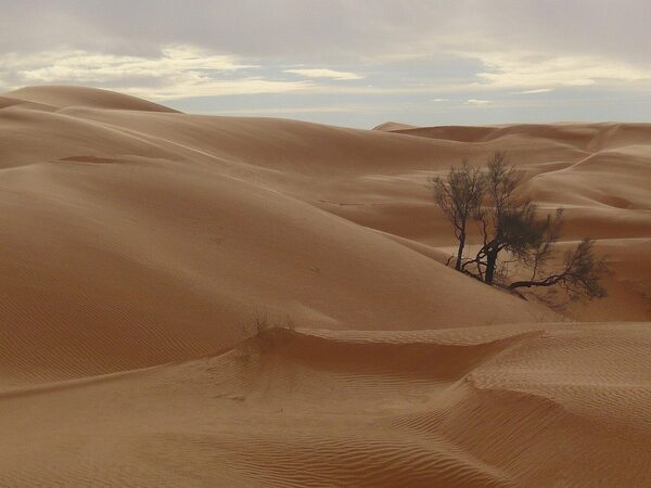 Car Hire Tunisia Africa