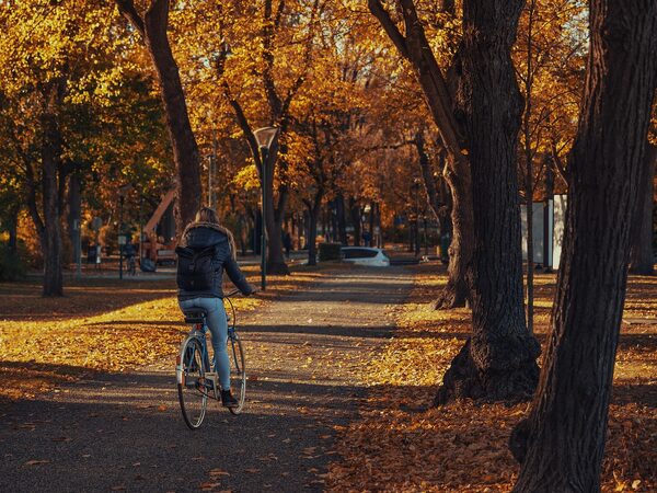 Central Park Bike Tour NYC