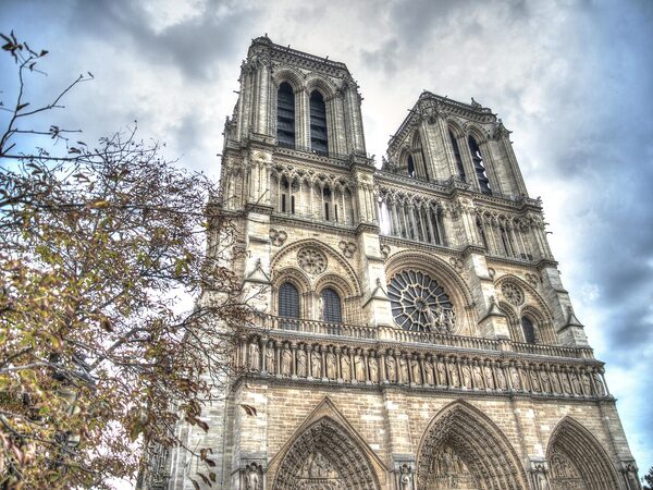 Notre-Dame + Ile de la Cite + Seine Cruise