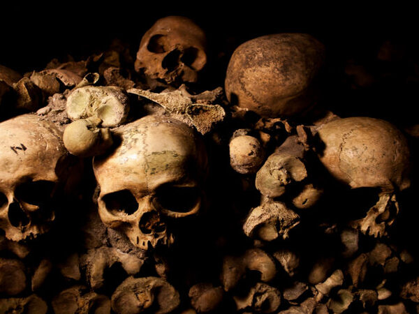 Paris Catacombs Priority Access + Cruise