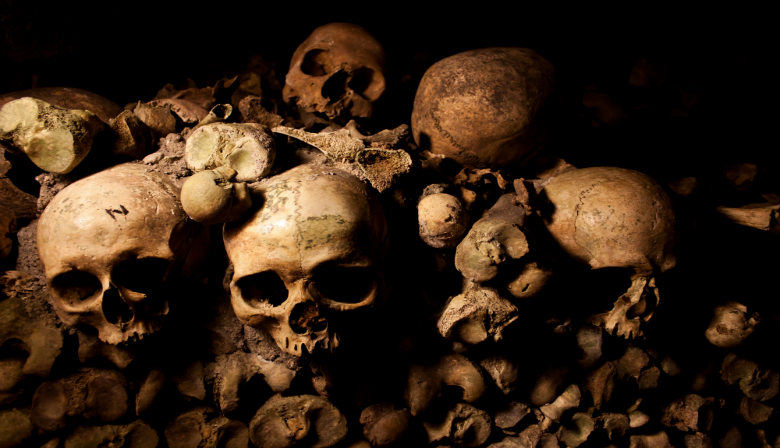 Paris Catacombs Priority Access + Cruise