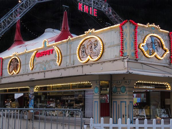 Magic & Circus Shows